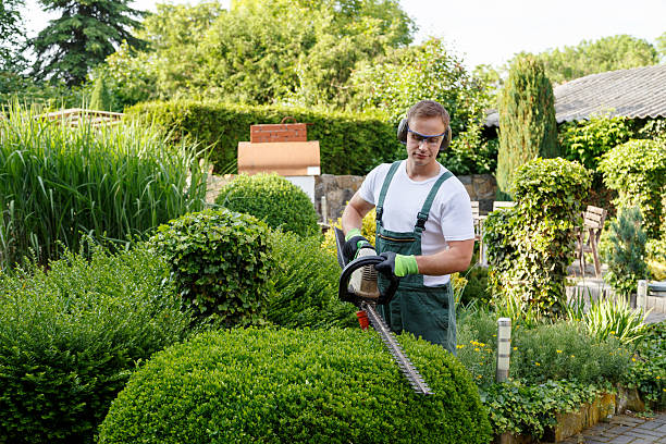 Best Lawn Pest Prevention  in USA